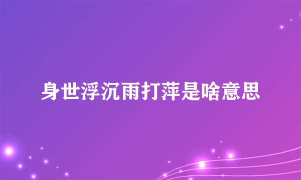 身世浮沉雨打萍是啥意思