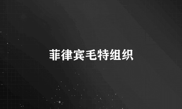 菲律宾毛特组织