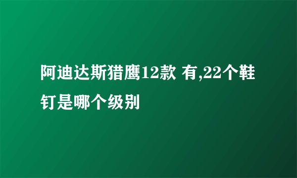 阿迪达斯猎鹰12款 有,22个鞋钉是哪个级别