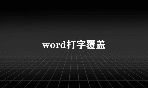 word打字覆盖