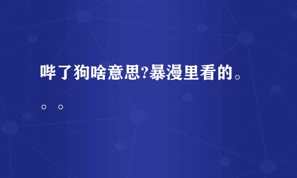 哔了狗啥意思?暴漫里看的。。。
