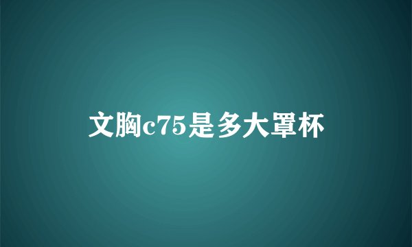 文胸c75是多大罩杯