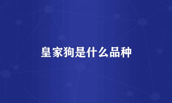 皇家狗是什么品种