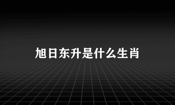 旭日东升是什么生肖