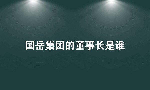 国岳集团的董事长是谁