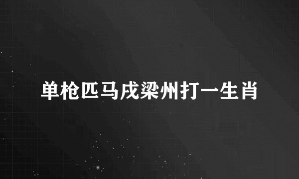 单枪匹马戌梁州打一生肖