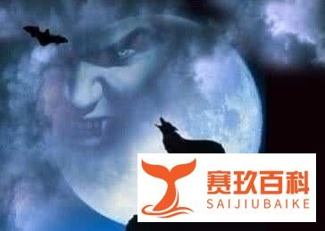 饭局狼人杀直播怎么看