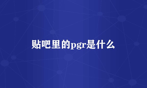 贴吧里的pgr是什么