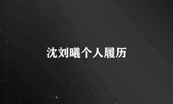 沈刘曦个人履历