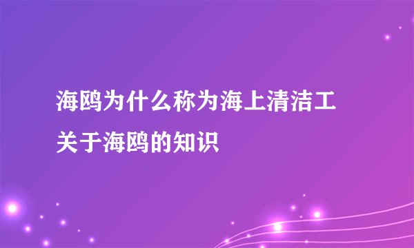 海鸥为什么称为海上清洁工 关于海鸥的知识