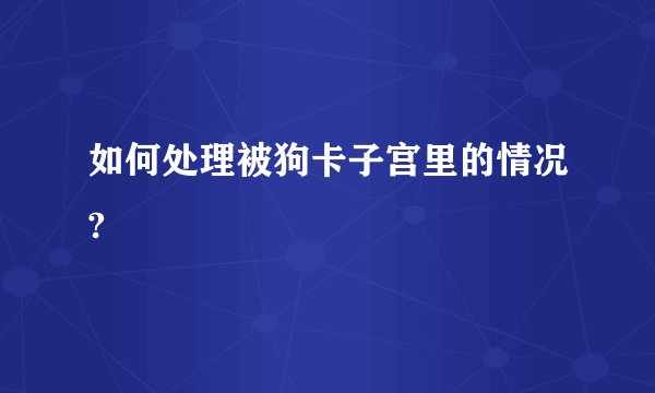 如何处理被狗卡子宫里的情况?