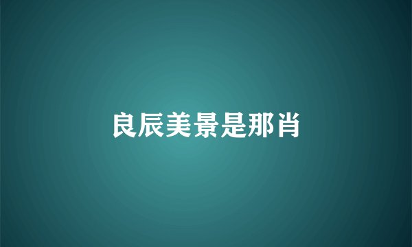 良辰美景是那肖