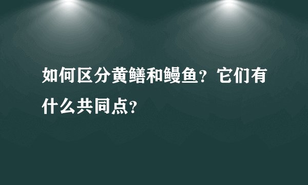 如何区分黄鳝和鳗鱼？它们有什么共同点？