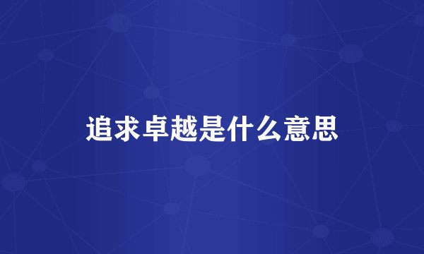 追求卓越是什么意思
