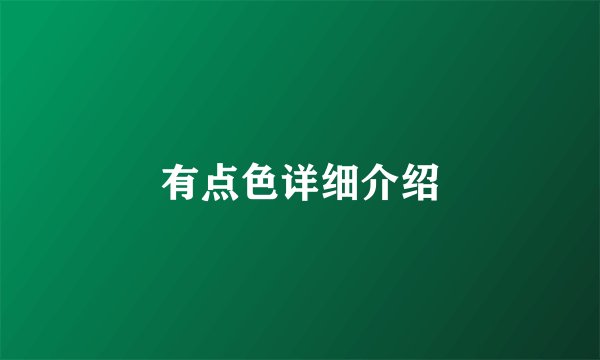 有点色详细介绍