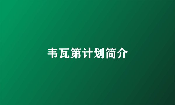 韦瓦第计划简介