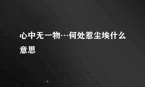 心中无一物…何处惹尘埃什么意思
