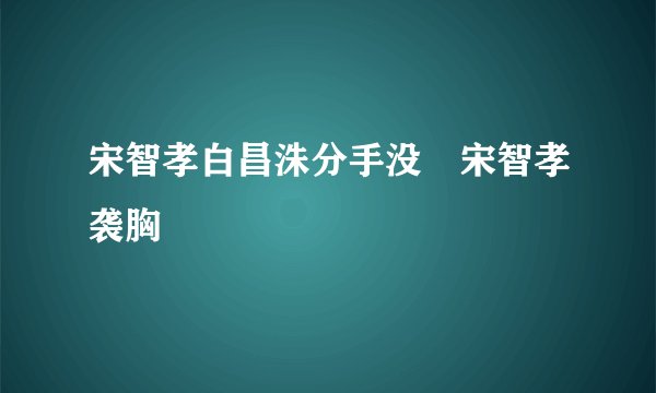 宋智孝白昌洙分手没 宋智孝袭胸