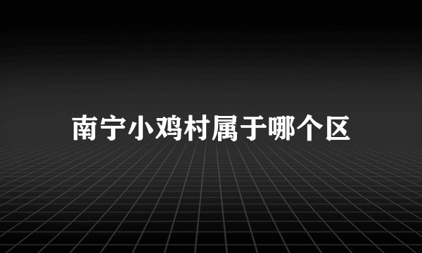 南宁小鸡村属于哪个区