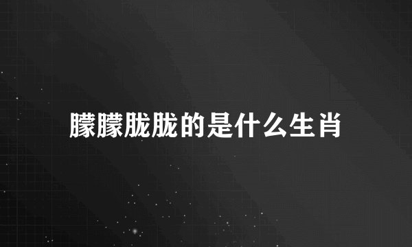 朦朦胧胧的是什么生肖