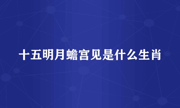 十五明月蟾宫见是什么生肖