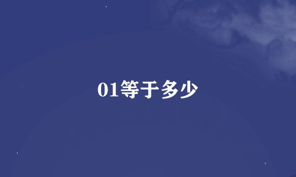01等于多少
