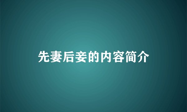 先妻后妾的内容简介