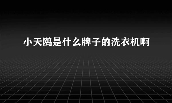 小天鸥是什么牌子的洗衣机啊