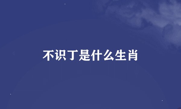不识丁是什么生肖