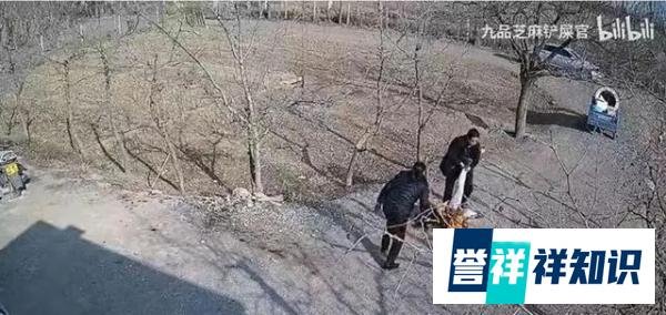 警方通报拿不出50万彩礼女友被拖走 这是咋情况？