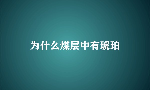 为什么煤层中有琥珀