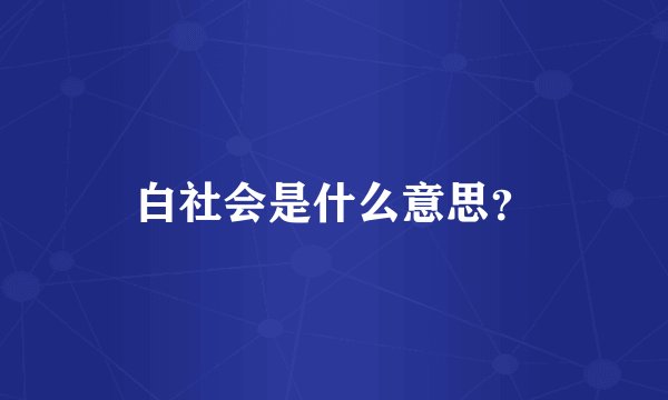 白社会是什么意思？