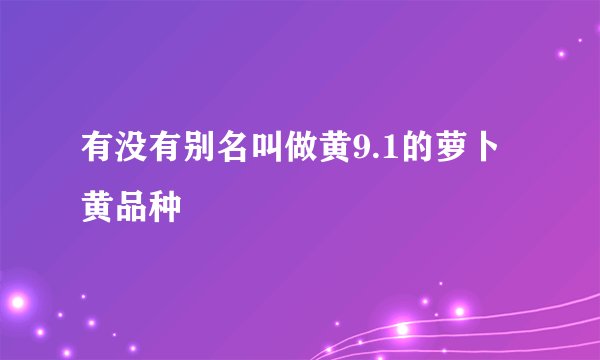 有没有别名叫做黄9.1的萝卜黄品种