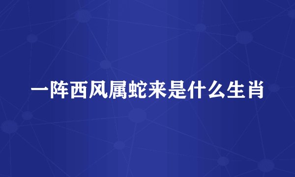 一阵西风属蛇来是什么生肖