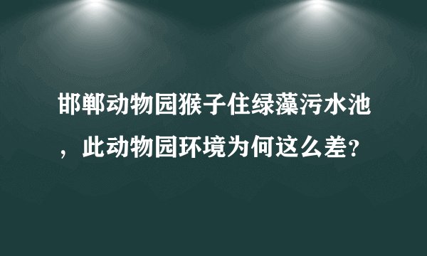 邯郸动物园猴子住绿藻污水池，此动物园环境为何这么差？