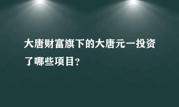 大唐财富旗下的大唐元一投资了哪些项目？