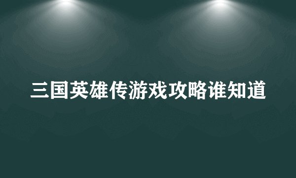 三国英雄传游戏攻略谁知道