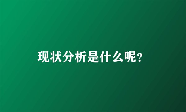 现状分析是什么呢？