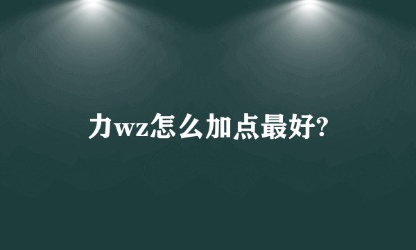 力wz怎么加点最好?