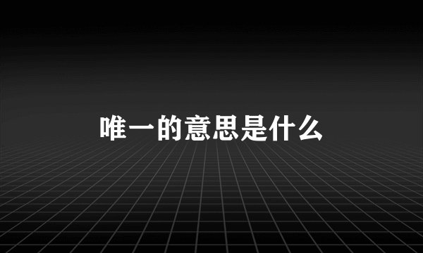 唯一的意思是什么