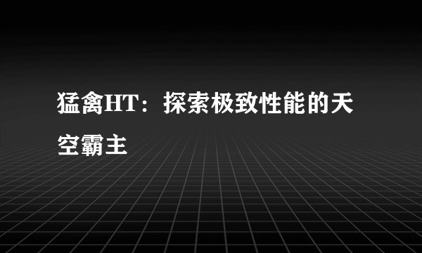猛禽HT：探索极致性能的天空霸主