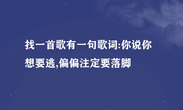 找一首歌有一句歌词:你说你想要逃,偏偏注定要落脚