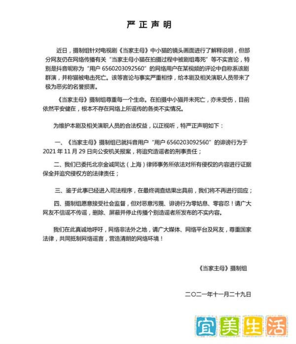 疑似《当家主母》群演称猫是被电死的，剧组回应：已报案