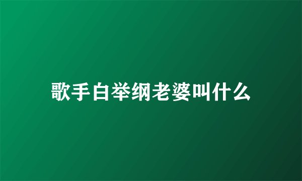 歌手白举纲老婆叫什么