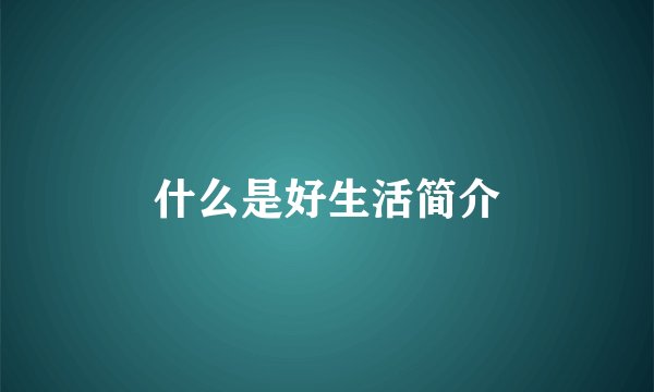 什么是好生活简介