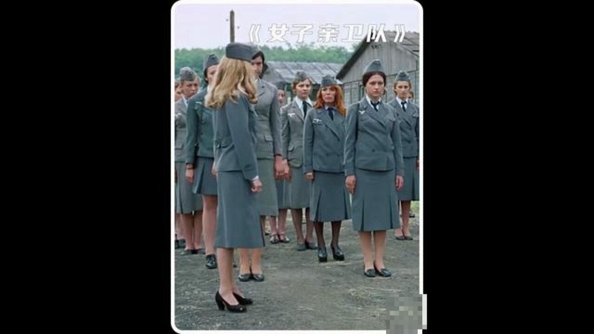 意大利《女子护卫队》公司的电视剧
