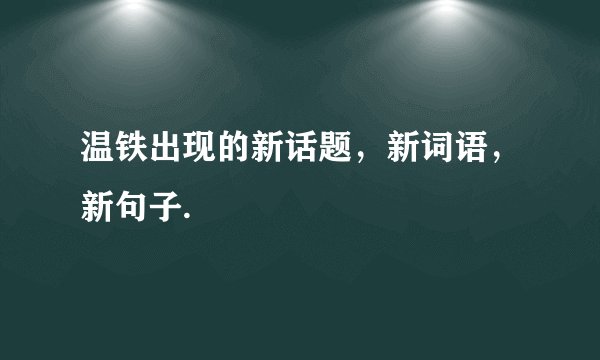 温铁出现的新话题，新词语，新句子.