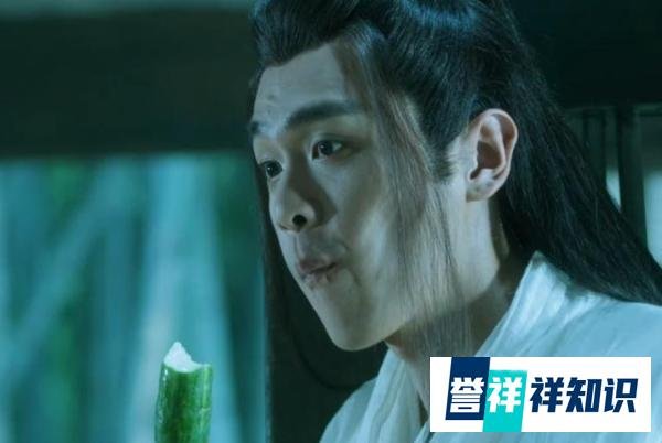 《雪中悍刀行》徐凤年的五大丫鬟两个是叛徒，其余三人做了老婆