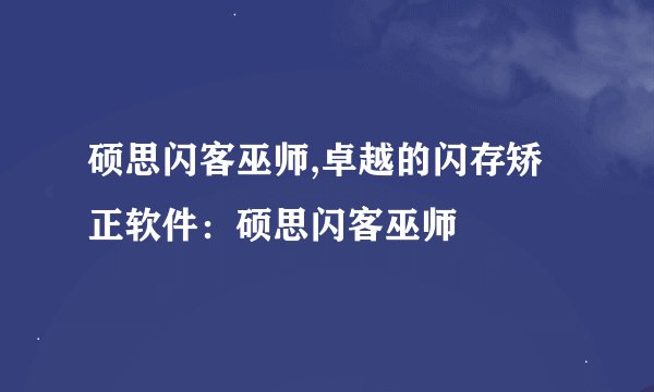 硕思闪客巫师,卓越的闪存矫正软件：硕思闪客巫师