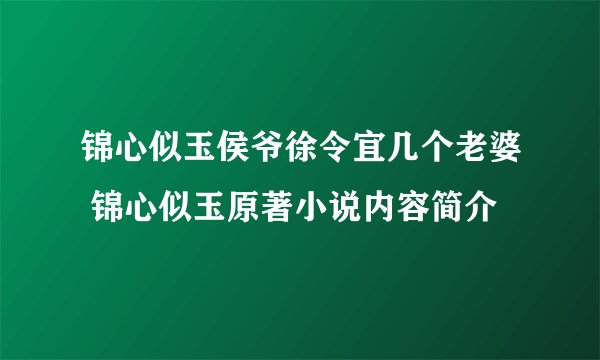 锦心似玉侯爷徐令宜几个老婆 锦心似玉原著小说内容简介